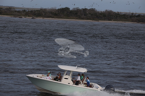 COBIA.LT BLUE.30106