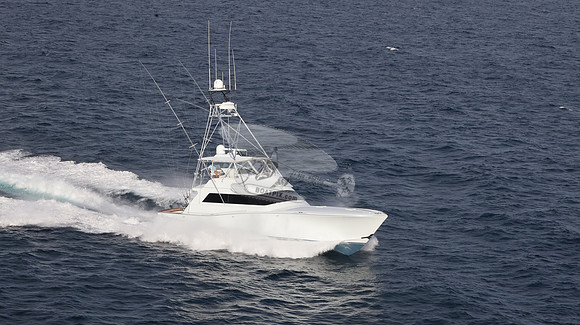 CHASIN TAIL.SINGER ISLAND.2960