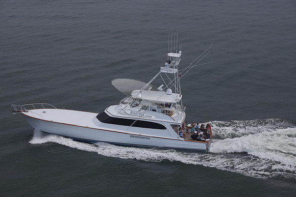 BEAST.PALM BEACH FL.081