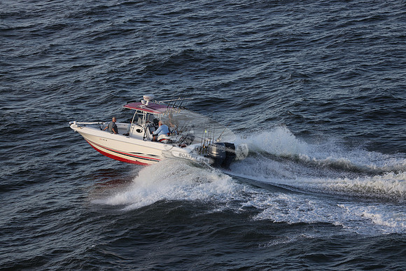 al0961rh.10