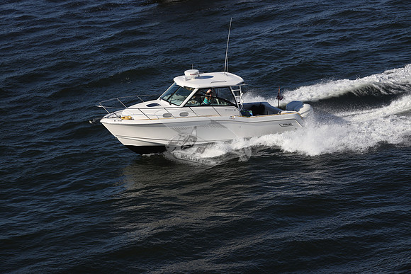 BOSTON WHALER31.4404