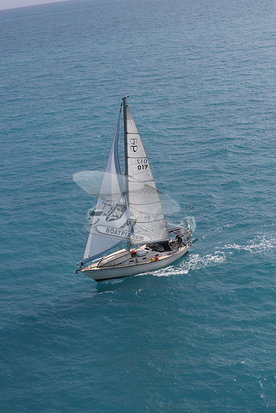017.floren c.3886