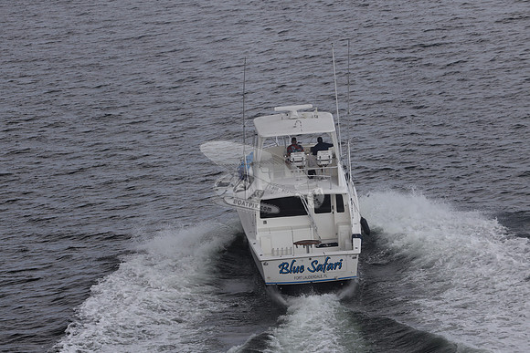 blue safari.laud.ocean.12