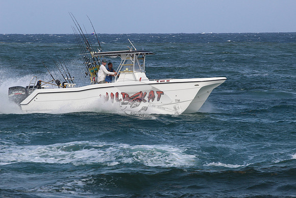 fl5599mu.wild kat.1689