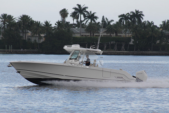 BOSTON WHALER.07