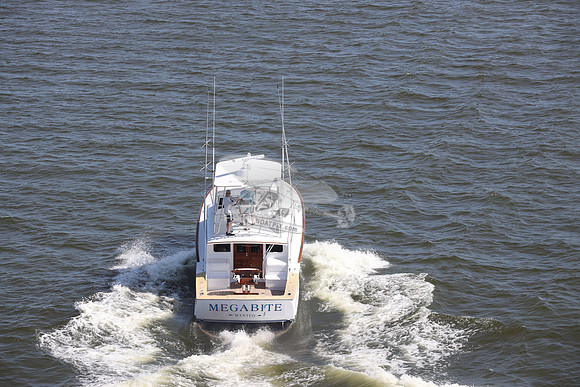 MEGABITE.MANTEO NC.03