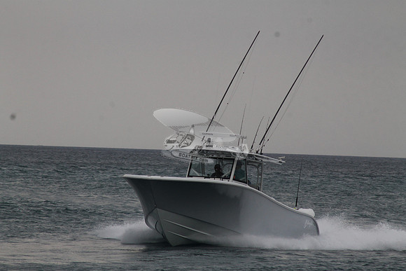 CRY..YELLOWFIN.01