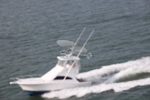 BARE OL CUDA.INDIAN RIVER DE.LUHRS.12