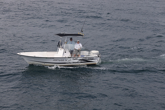 FL2022MB.RIPARIUS VI.09