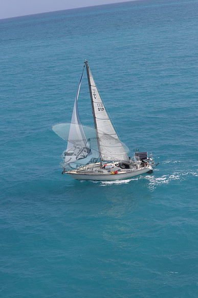 017.floren c.3883