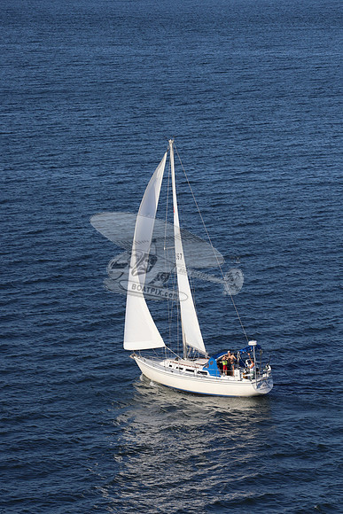 267.splash dancer.02