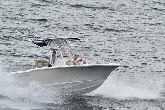 FL1768SJ.1