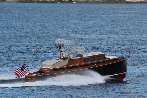 Avocette.21