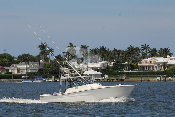 FISH HAPPENS.LANTANA FL.TOPAZ.03