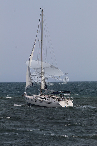 DAFFY.FL..SAIL.06