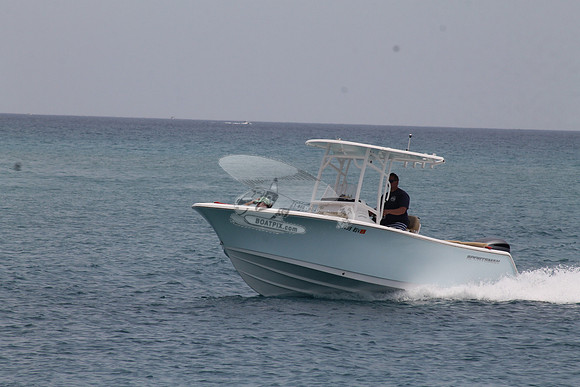 FL99 8SV.SPORTSMAN.401