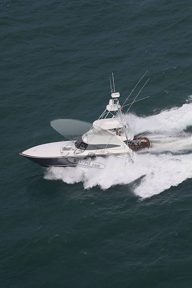 Amigo.7903