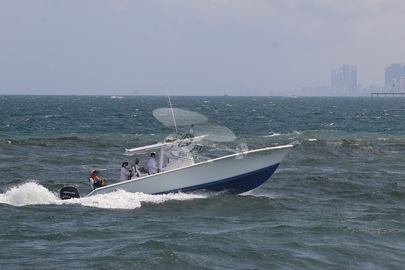 FL1133NA.43