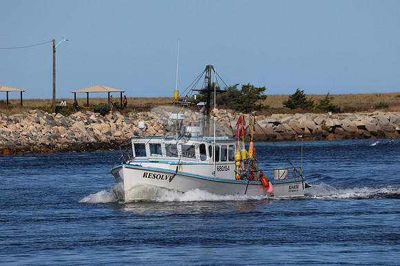resolve.east sandwich.4