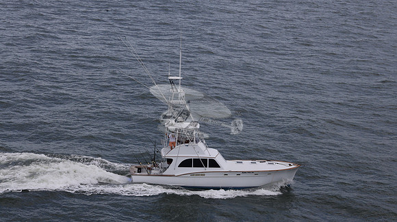 ballie who iii.islamorada fl.9524