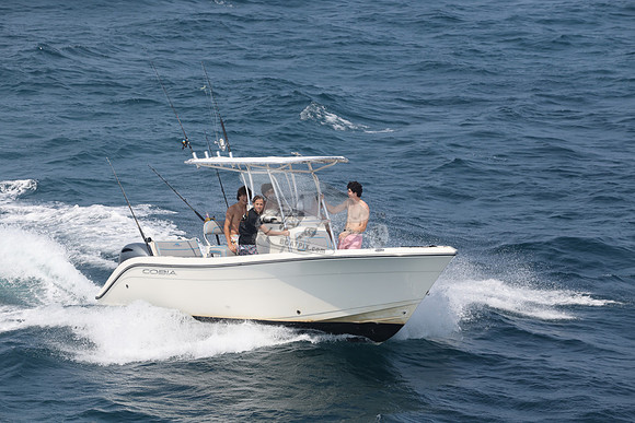 COBIA.WHITE.24