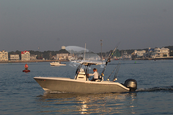 DL8881AM.4