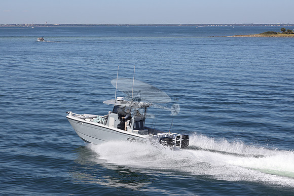 FL8410TH.05