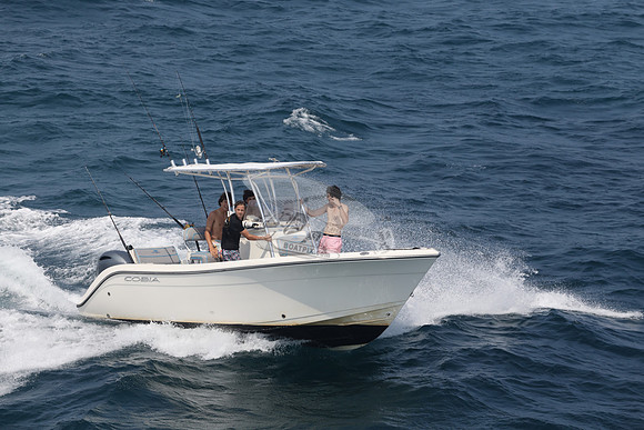 COBIA.WHITE.23