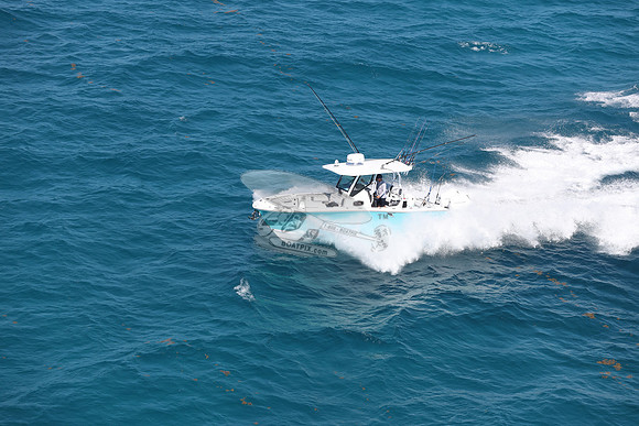 BLACKFIN27.14