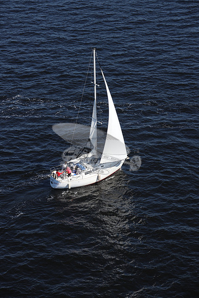 00000.FL6014SL.TAZZ.3784