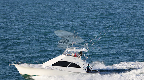 BARONESS.24