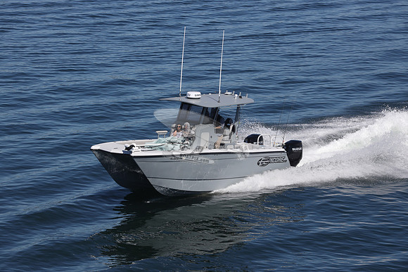 FL8410TH.19