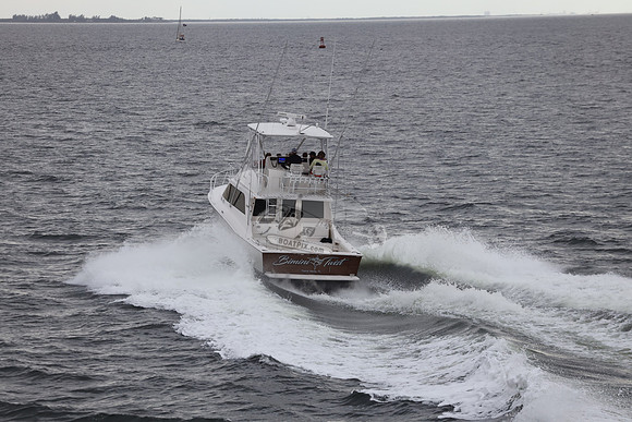 bimini twist.1
