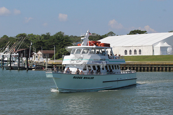 rubee whaler.8514