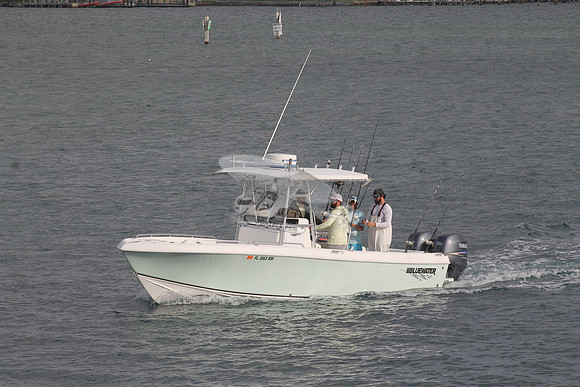 FL3863MM.11