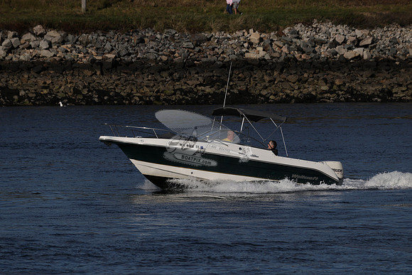ms4316br.04