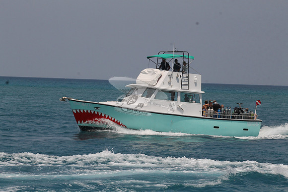 EMERALD.JUPITER FL.451