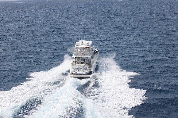DOG HOUSE.BOCA RATON FL.P63.06
