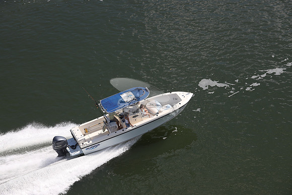 bluewater 2550.7862