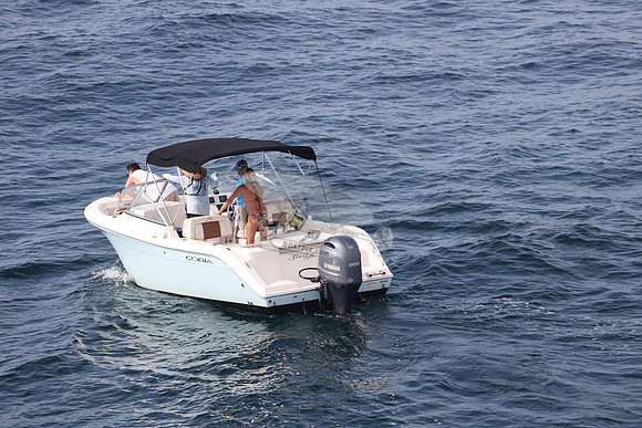 FL0314TD.SEA YA.10