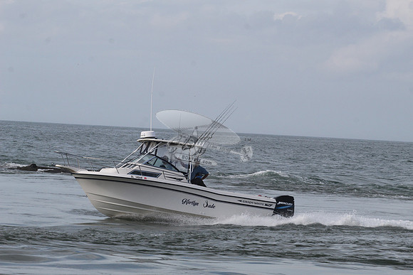 dl140ar.kortlyn jade.5157