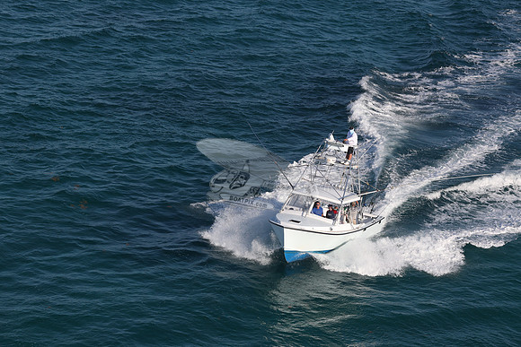 BLUE MAGIC.MARATHON FL.31