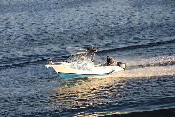 big boys toy.cobia.0633