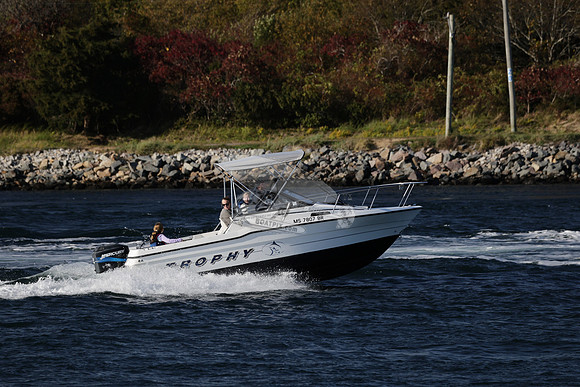 ms7807br.