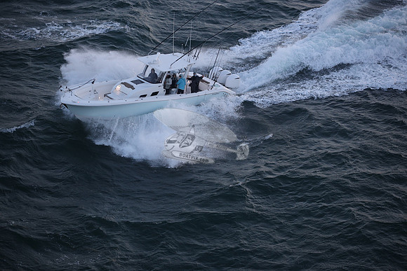 contingent seas.belleair bluffs .9034
