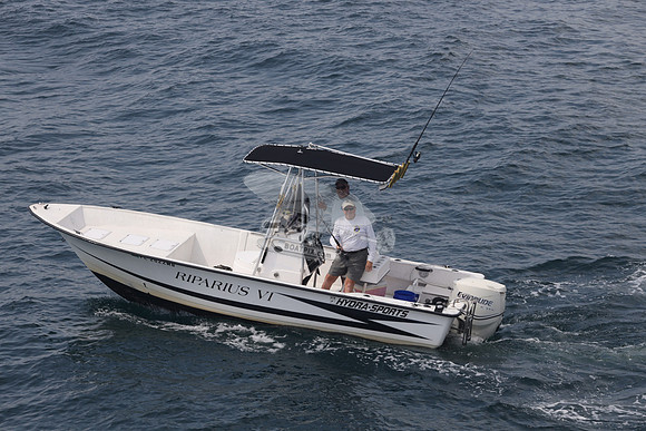 FL2022MB.RIPARIUS VI.07