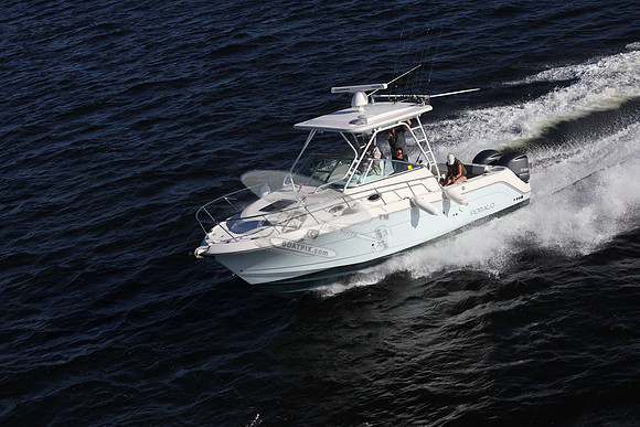 ACCI-DENTAL.JAX FL.ROBALO.15