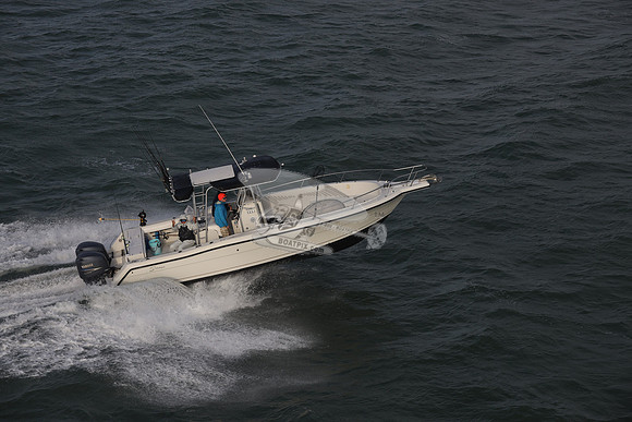 docknocking.gulfport fl.9936