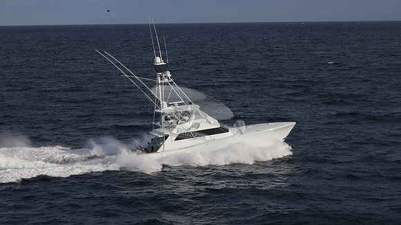CHASIN TAIL.SINGER ISLAND.2947
