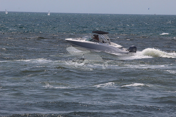 CHAPARRAL.1